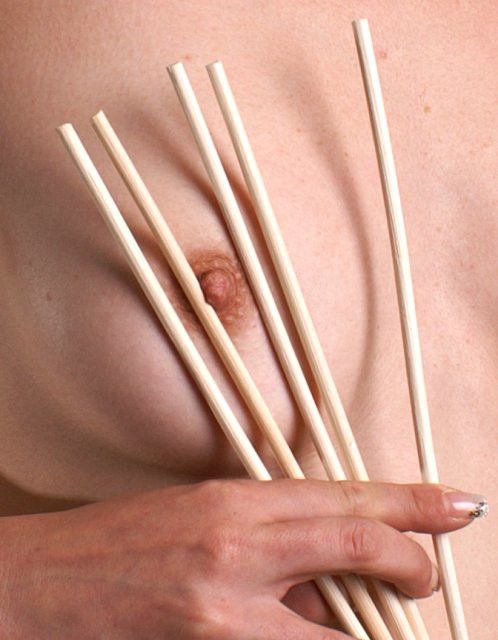 5er-Pack Cane unbehandelt - geschält, Ø ca. 5mm, Länge ca. 90cm